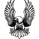 flyingeagle_logo_black_square_128
